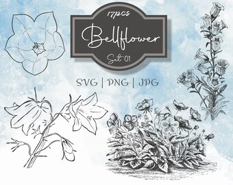 Bellflower Set 01 Botanical Illustration Clipart - Vintage Floral Commercial Use Journal Scrapbooking SVG PNG Line Digital Download Vector