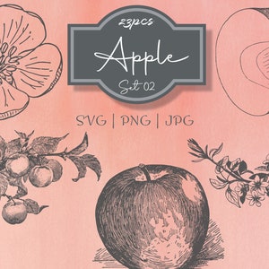 Apple Set 02 Botanical Illustration Clipart - vintage Floral Commercial Use Journal Scrapbooking SVG Line Digital Download Vector