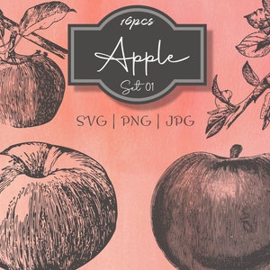 Apple Set 01 Ilustração Botânica Clipart - Vintage Floral Uso Comercial Diário Scrapbooking SVG PNG Line Art Digital Vector