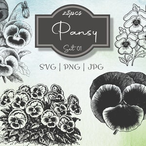 Pansy Set 01 Botanical Illustration Clipart - Vintage Floral Commercial Use Journal Scrapbooking SVG Line Digital Download Vector