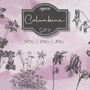 Columbine Set 01 Botanical Illustration Clipart - Vintage Floral Commercial Use Journal Scrapbooking SVG PNG Line Art Digital Vector