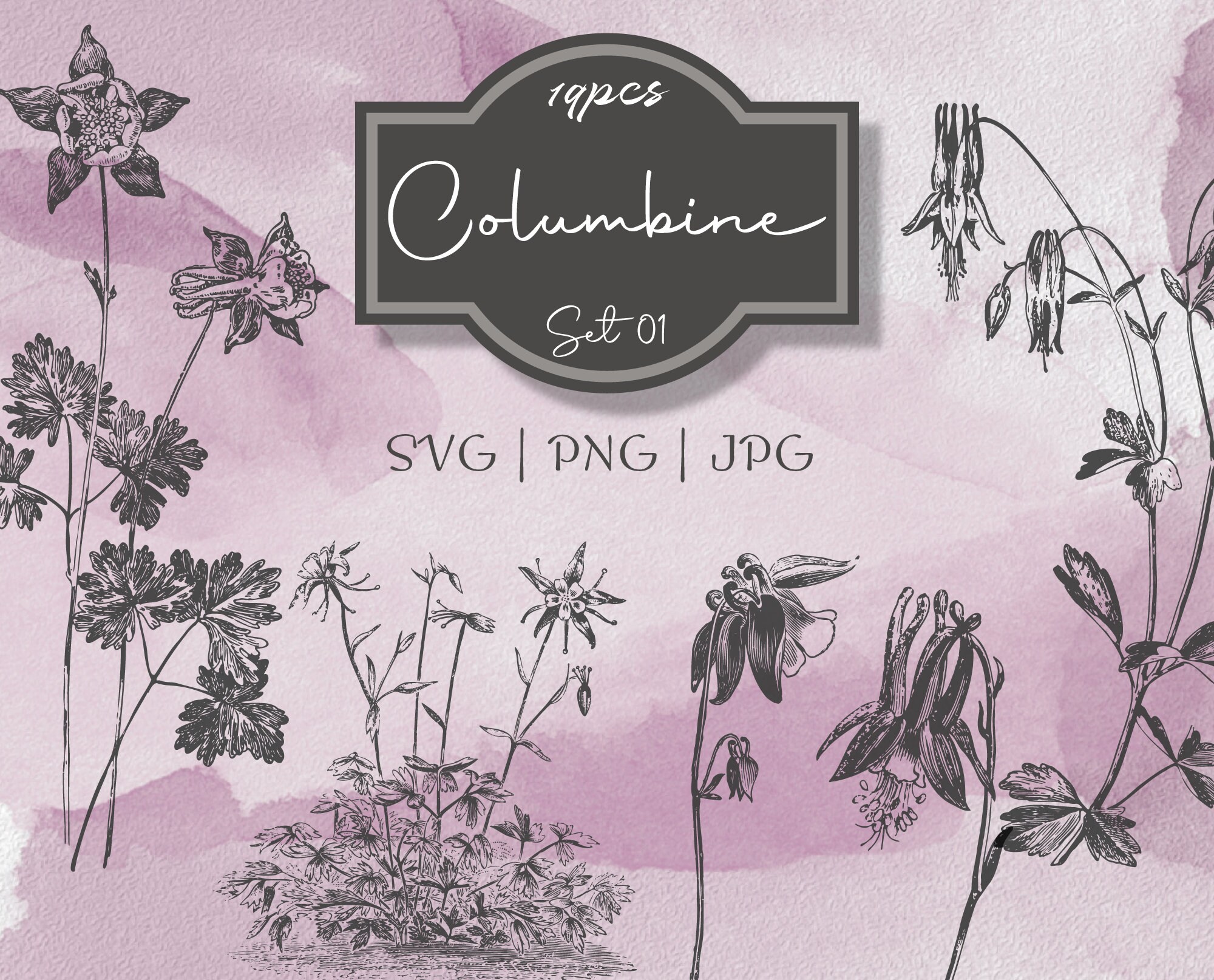 Columbine Set 01 Botanical Illustration Clipart Vintage Floral