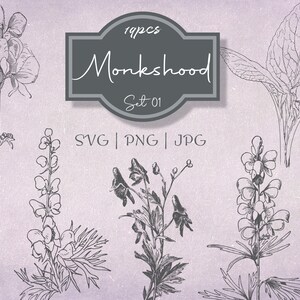 Monkshood Set 01 Botanical Illustration Clipart - Vintage Floral Commercial Use Journal Scrapbooking SVG Line Digital Download Vector