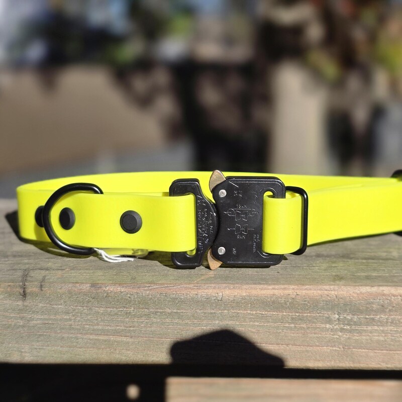 D Ring Collar - Etsy