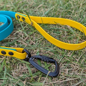 3/4&quot; Two-tone BioThane® Dog Leash