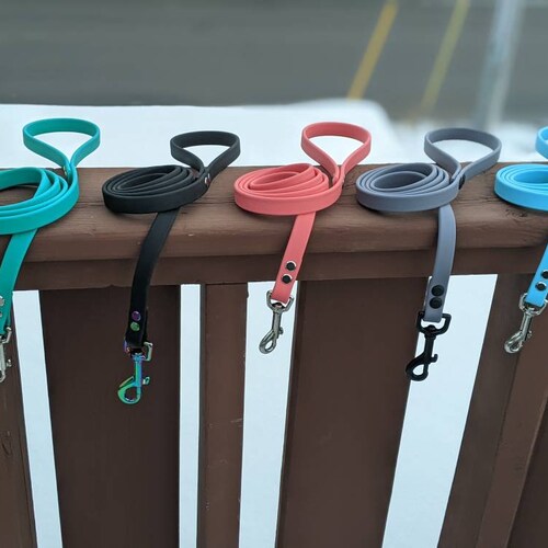 3/8 Custom Biothane Dog Leash Etsy