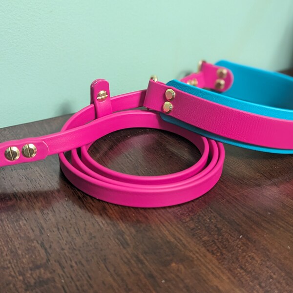 Martingale Collar and Leash Combo Etsy