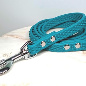 May include: A teal dog leash with a textured, dotted pattern. The leash has a silver metal clasp and rivets. The leash is coiled on a white and gray surface. A pet accessory.