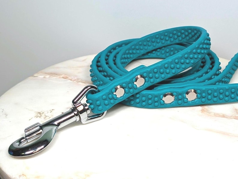 May include: A teal dog leash with a textured, dotted pattern. The leash has a silver metal clasp and rivets. The leash is coiled on a white and gray surface. A pet accessory.