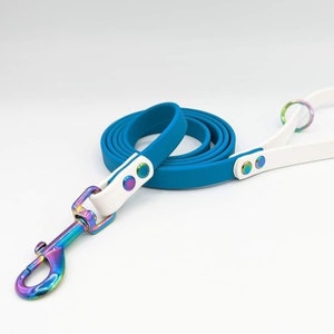 5/8" Two-tone BioThane® Dog Leash