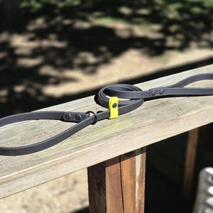 BioThane Slip Leash