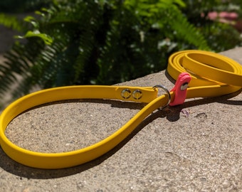 BioThane Slip Leash