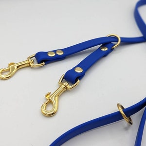 ADD a Built-in Prong Backup to Your Leash Order! - Etsy