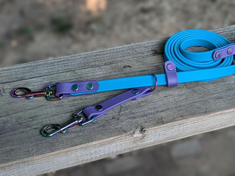ADD a Built-in Prong Backup to Your Leash Order! - Etsy