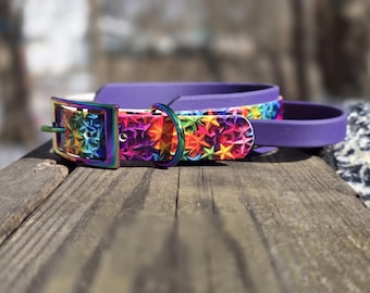 13 - 16" Technicolor Stars Handle Collar