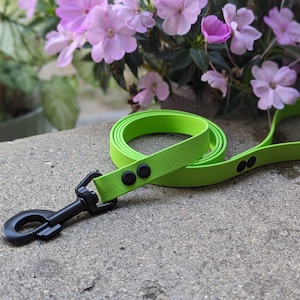 Laisse BioThane pour chien de 3/4 po de large