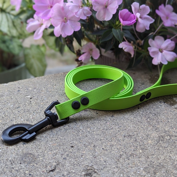 3/4" Wide BioThane Dog Leash