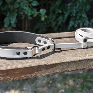 Slip Leash and Collar Combo With 1.5&quot; Backing