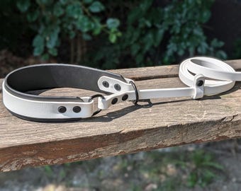 Slip Leash and Collar Combo With 1.5" Backing