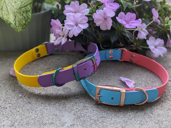 1" Two-tone BioThane® Collar O-ring Style