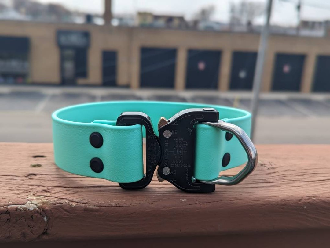 Cobra Buckle 1.5 Biothane Collar Etsy