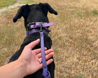 May include: A purple dog leash with a knotted end attached to a matching purple collar and a silver chain collar on a black dog. The leash features black hardware, including a metal clip and rivets, securing the strap in a simple, functional design.