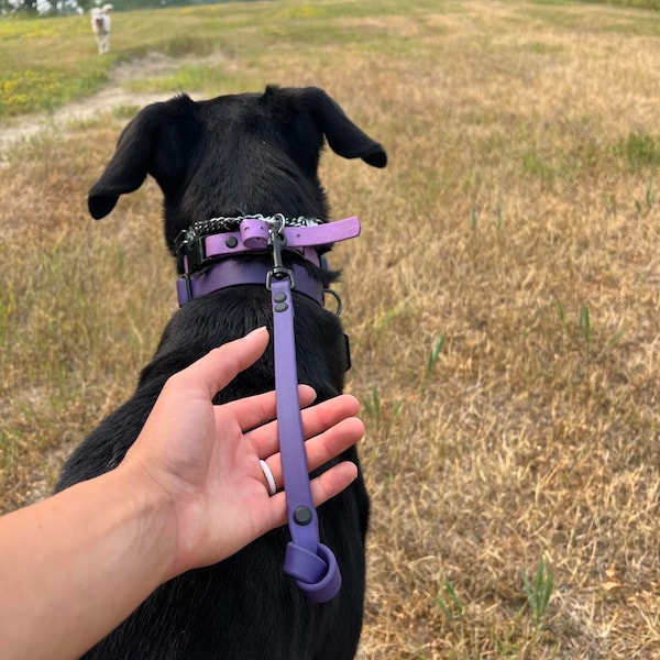 Pestaña de entrenamiento con extremo anudado