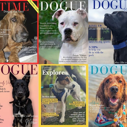 Custom Pet Magazine Cover/ Custom Dog Magazine/ Personalized Etsy