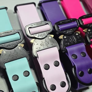 May include: A close-up of several dog collars in various colors, including blue, teal, lavender, purple, and pink. Each collar features a black metal buckle and matching hardware. The collars are made of a smooth, durable material.