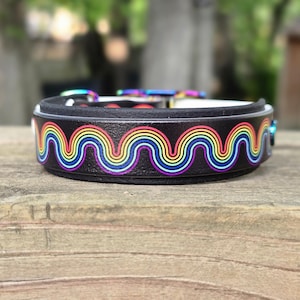 May include: A black dog collar with a rainbow wave pattern. The collar has a white interior and a metal buckle. The rainbow design features red, orange, yellow, green, blue, and purple colors. The collar is sitting on a wooden surface.
