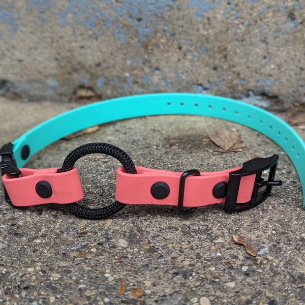 3/4" Bungee BioThane® E-collar Strap