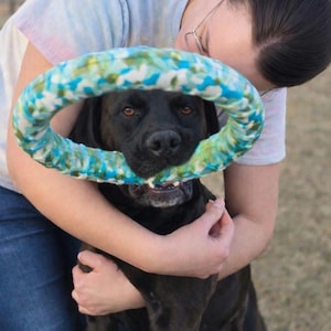 May include: A black Labrador Retriever with brown eyes is holding a blue, green, and white patterned dog toy. The dog is being hugged by a person wearing a tie-dye shirt and blue jeans.