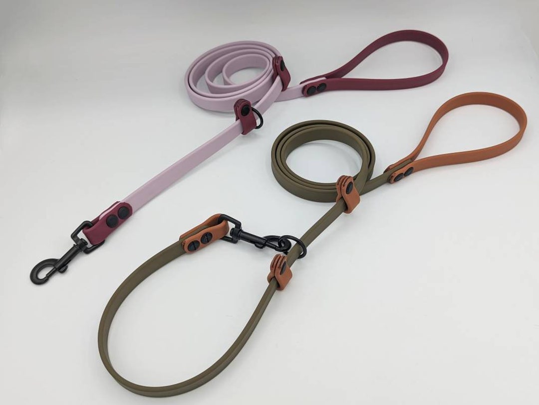 Convertible Biothane Standard and Slip Leash Etsy