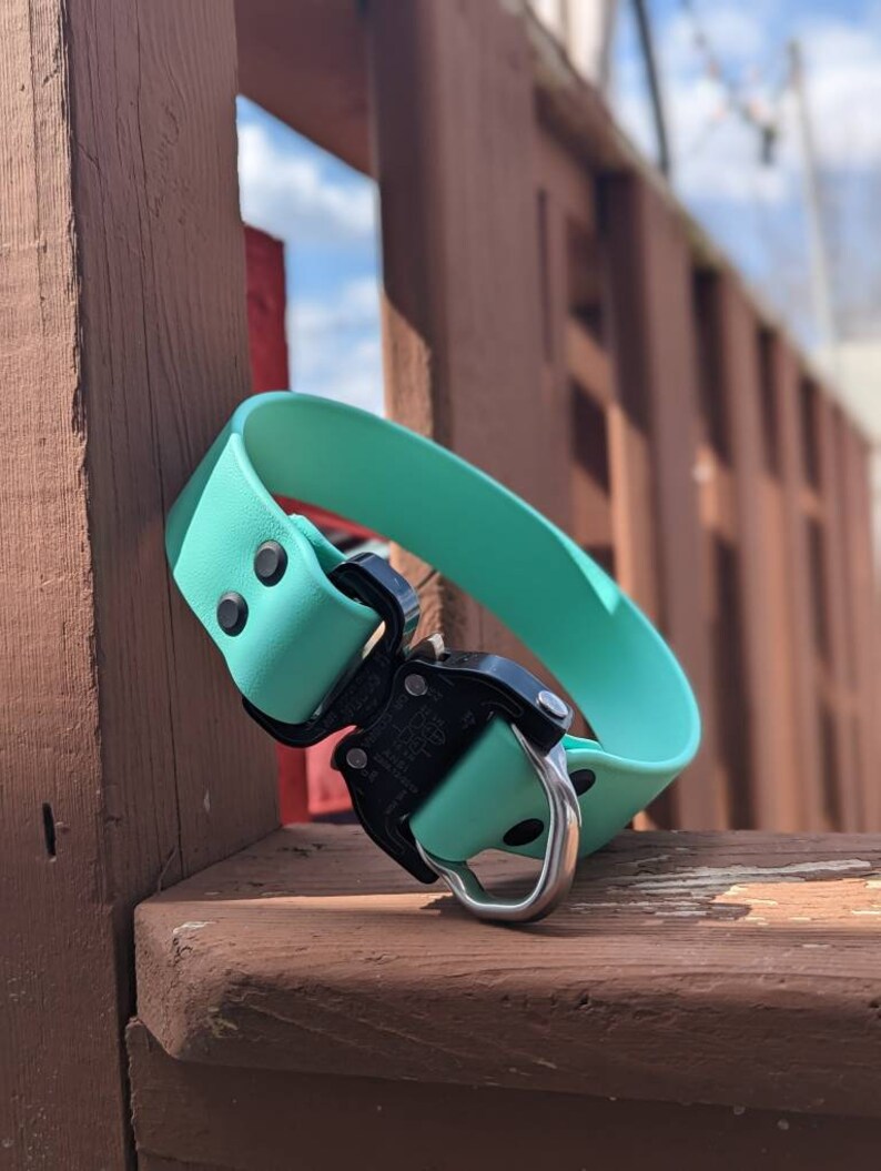 Cobra Buckle 1.5 Biothane Collar Etsy