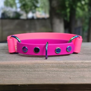 1" Biothane Martingale