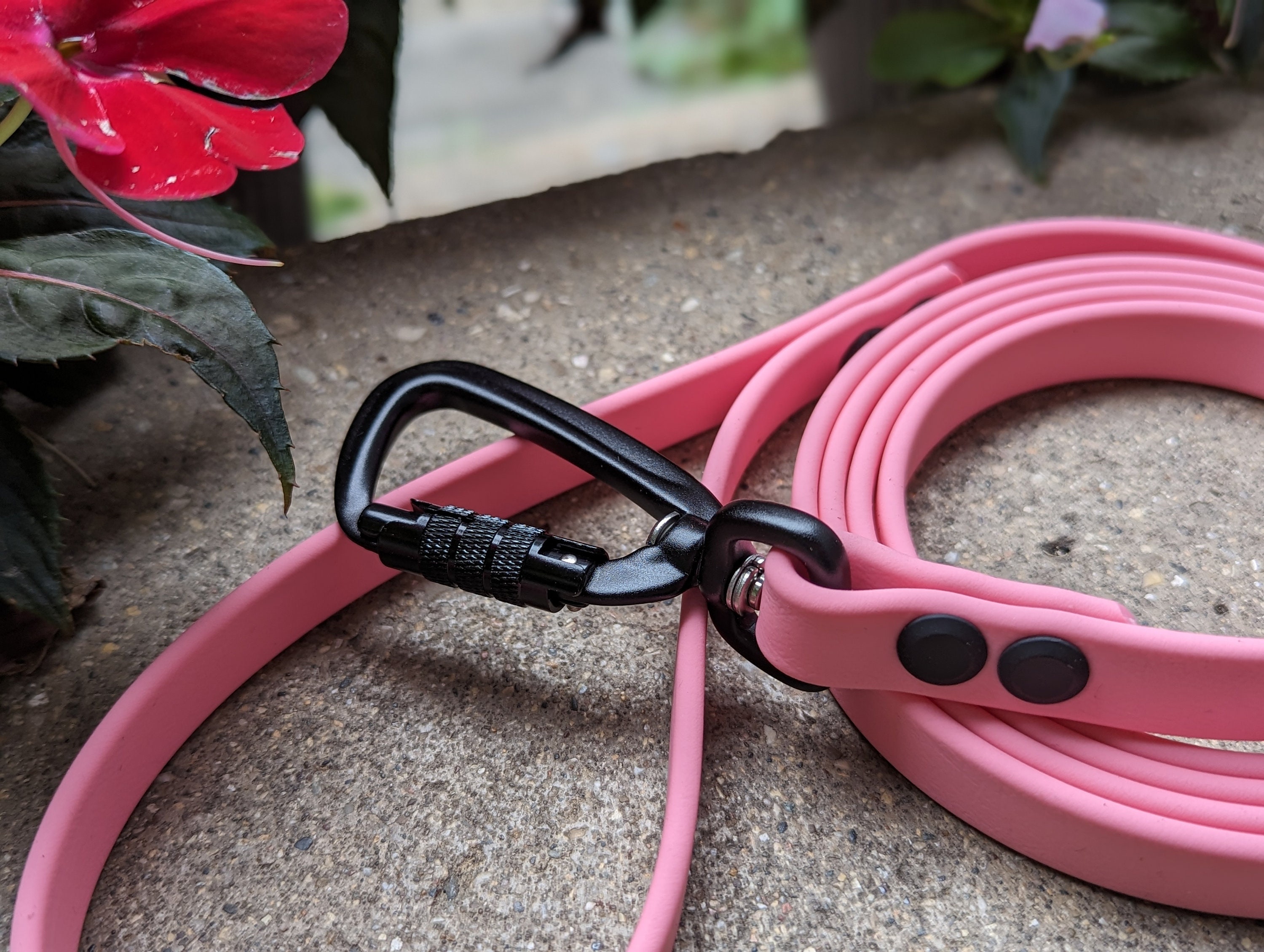 Biothane leash for dogs - Etsy 日本