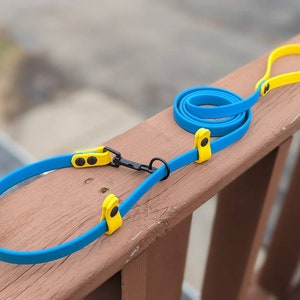Convertible BioThane Standard and Slip Leash