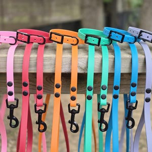 May include: A collection of colorful dog leashes and collars in various shades, including pink, red, orange, green, blue, and purple. Each leash has a matching collar with a black buckle and hardware. The leashes are hanging on a wooden surface.