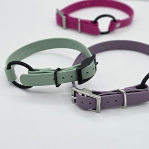 Puede incluir: Tres collares para perros en tonos pastel de verde, morado y rosa. Cada collar tiene una hebilla y un anillo de metal negro. Los collares están hechos de un material flexible y están diseñados para mascotas.