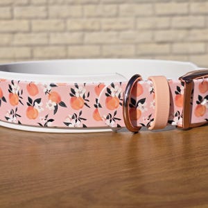 Könnte beinhalten: Ein Haustierhalsband mit hellrosa Hintergrund und einem sich wiederholenden Muster aus orangefarbenen Pfirsichen und weißen Blüten. Das Halsband verfügt über eine metallische roségoldene Schnalle, einen passenden D-Ring und eine hellrosa Schlaufe.