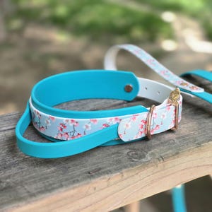 Könnte beinhalten: Ein Haustierhalsband mit einem leuchtend türkisfarbenen Innenband und einem hellblauen Außenriemen, der mit einem rosa-weißen Kirschblütenmuster verziert ist. Das Halsband verfügt über eine goldene Schnalle, einen D-Ring und eine türkise Leine.
