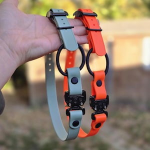 May include: Two dog collars, one in a muted green and the other in bright orange, are displayed. Each collar features a black metal buckle and a large black metal ring. The collars are made of a flexible, durable material.