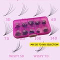 Mixed Lengths 16D 14D 12D 10D 8D 7D 6D 5D 4D 3D premade fans eyelash extensions 1000 fans product logo