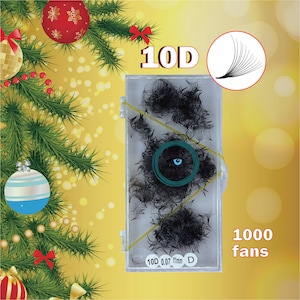10D | 0.05 |1000 fans premade lash extensions