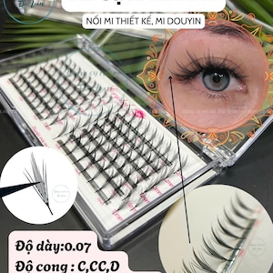 Könnte beinhalten: Eine transparente Plastikbox gefüllt mit einzelnen Büscheln schwarzer künstlicher Wimpern. Die Box hat ein weißes Etikett mit dem Text "Mi Cụm Anime" und "Nối Mi Thiết Kế, Mi Douyin". Der Text "Độ dày: 0.07", "Độ cong: C,CC,D", und "Size: Mix 8mm-15mm" ist auf einem weißen Etikett unter der Box aufgedruckt.