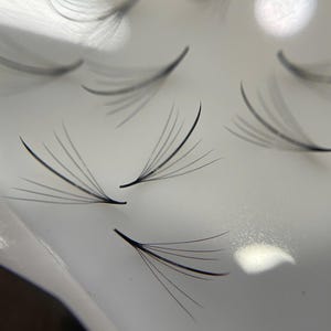 Wispy fans 7D fans hybrid  premade lash extension - D curl - Mix length ~1200 fans, Single length ~500 fans box  wispy spiky fans