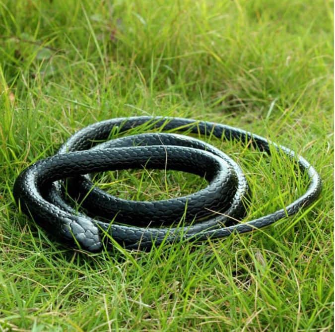 Snake Prank - Etsy Snake Prank - Etsy