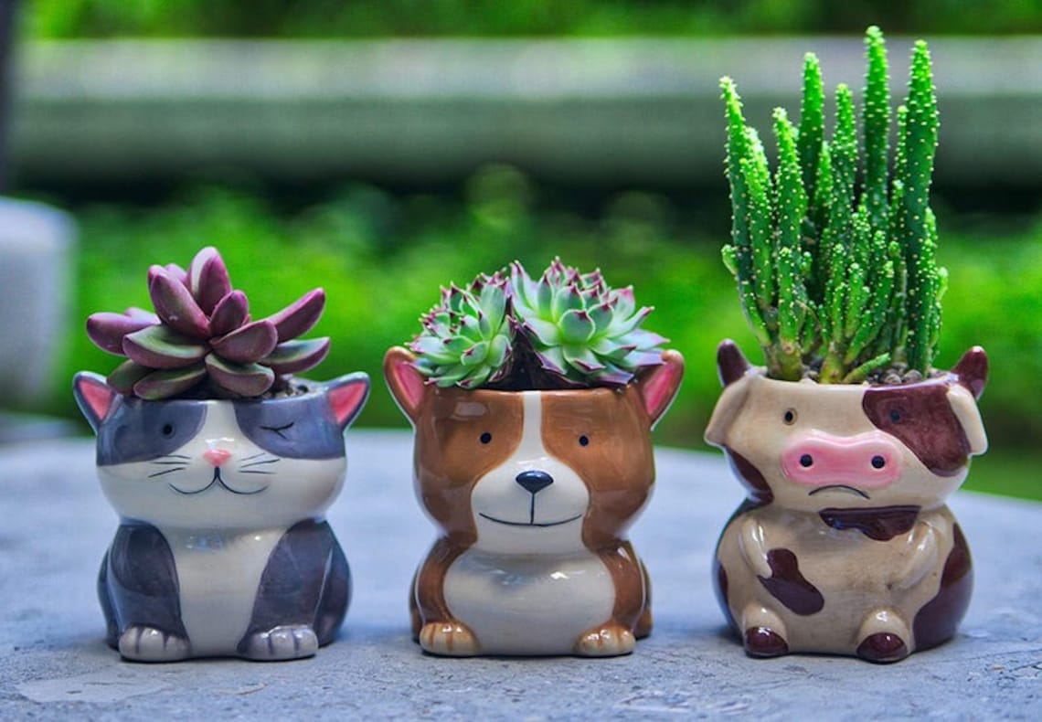 Cute farm animals succulent ceramic planters set. Pots set for Etsy