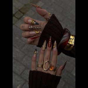 May include: A close-up of long, pointed acrylic nails in various designs. The nails feature colors like nude, brown, red, and black, with gold accents, studs, and animal print. Gold rings and a large bracelet adorn the hand.