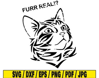 Download Grumpy Cat Dope Svg Cat Dxf Digital Download Cricut Silhouette Cut File Vinyl Decal Nope Cat Funny T Shirt Humor Design Grumpy Cat Vector Visual Arts Craft Supplies Tools